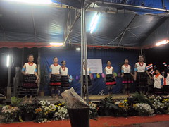 SAM_4404