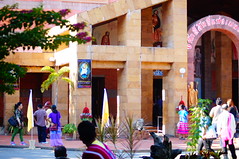 DSC00659