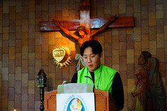 DSC07541