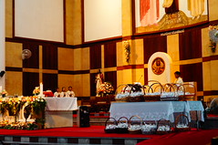 DSC07817