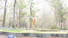 DSC04831