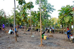DSC02179