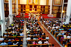 DSC07810