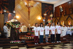 cmd (11)