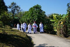 DSC00012