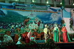 DSC08817