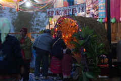 DSC08585 - Copy