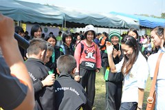 cmd (5)