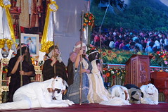 DSC08809