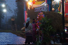 DSC08582 - Copy