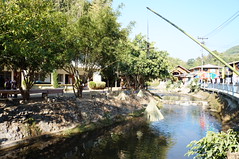 DSC01619