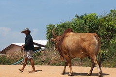 DSC09400