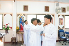 cmd (7)