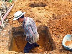 รูปภาพ1