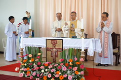 DSC03381