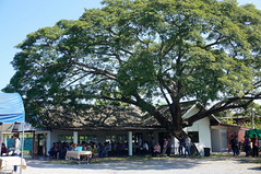 DSC03455