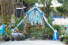 DSC05897