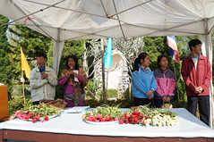 DSC07845
