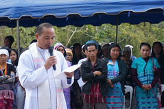 DSC00910 - Copy