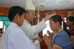 DSC01019 - Copy