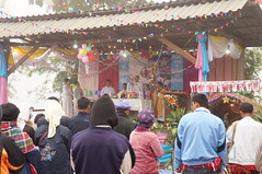 DSC08602 - Copy