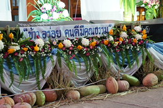 DSC01673