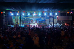 DSC08919