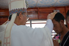DSC01034 - Copy