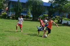 cmd (31)