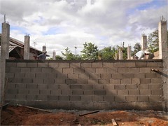 รูปภาพ8