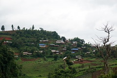 DSC09443