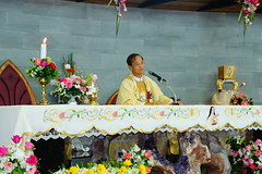 DSC03254