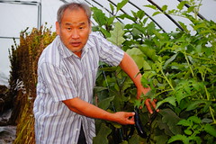 12 Aug day in diocese (5)