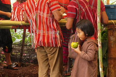 DSC09700