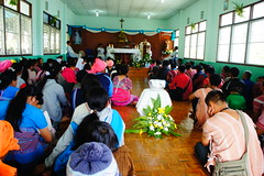 DSC03252
