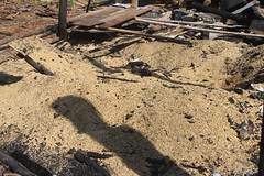 IMG_0213