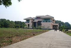 cmd (4)