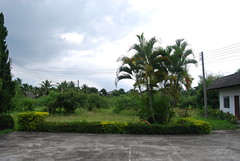 cmd (16)