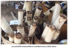 รูปภาพ14