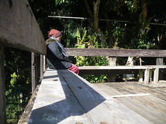CIMG0263