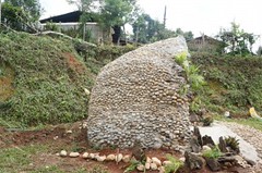 DSC03734