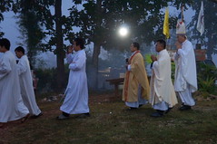 DSC08589 - Copy