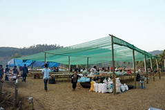 DSC08719