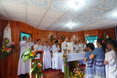 DSC01011 - Copy