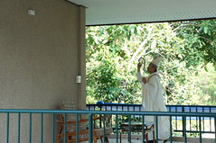 DSC06042
