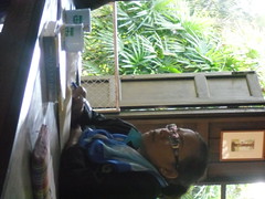 CIMG0247