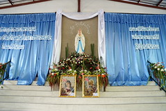 DSC06364