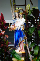 DSC03137