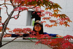 11 Aug 14 Yang Yang Church(377)