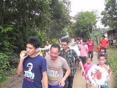 DSCN3165